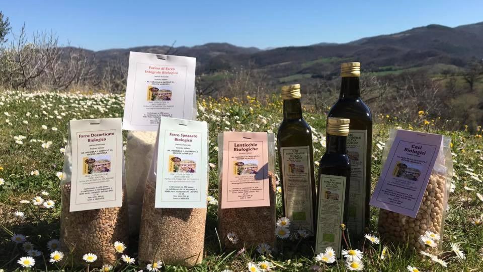 Agriturismo Il Castello Assisi Eksteriør billede