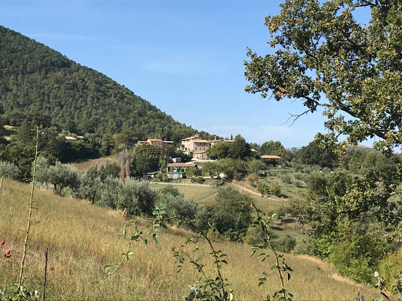 Agriturismo Il Castello Assisi Eksteriør billede